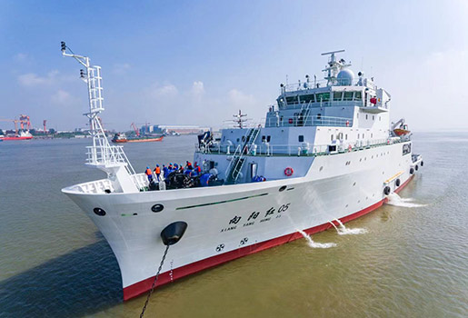 Xiangyanghong No.5